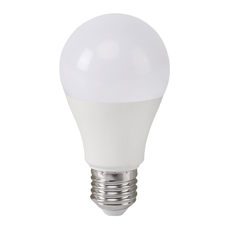 AC/DC 12-60V LED žarulje